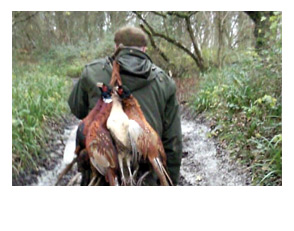 Corporate Event Image